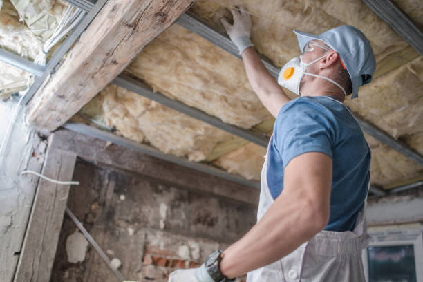 Best Local Insulation Services  in Ardsley, NY